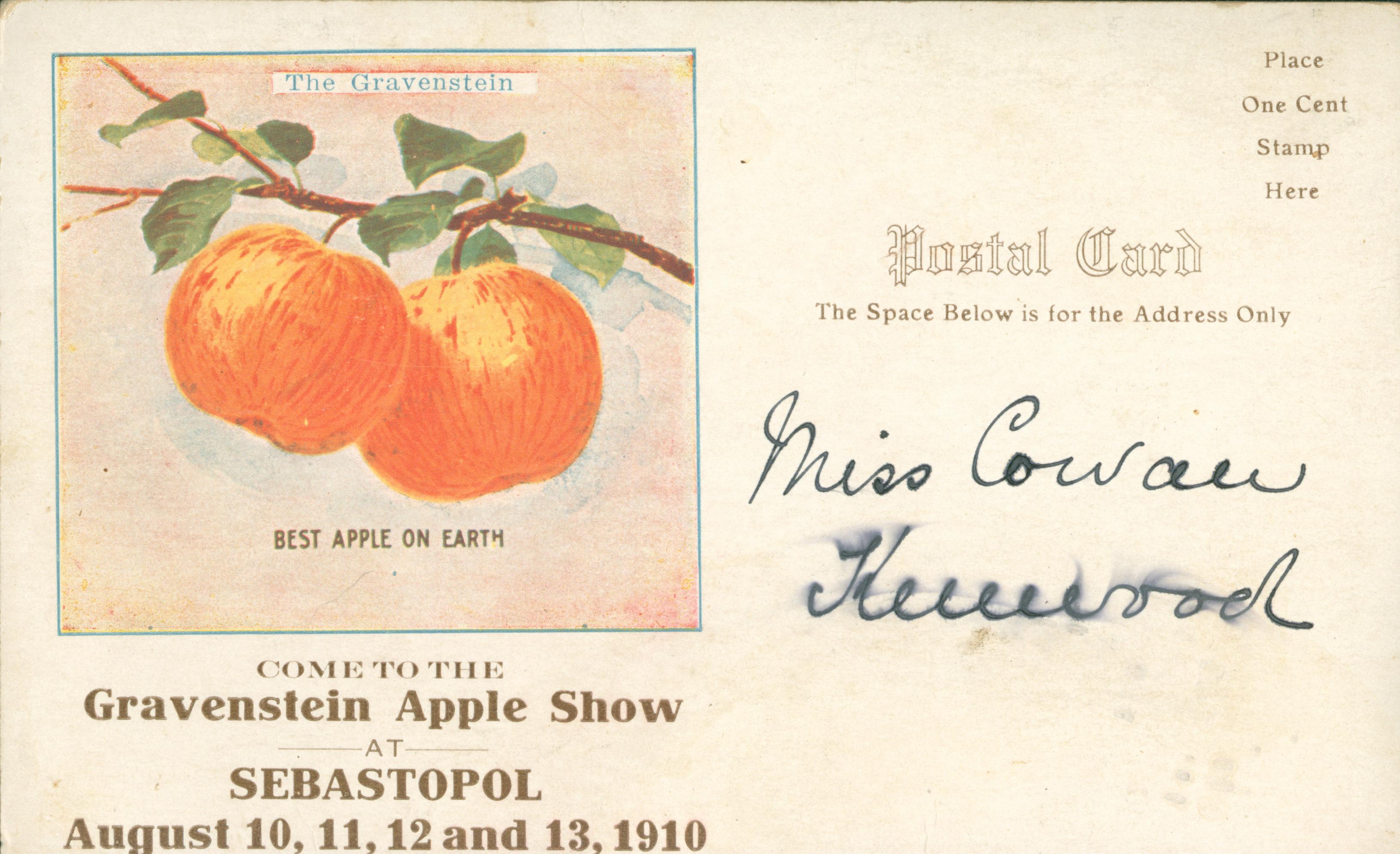 Shows a picture of two apples hanging from a tree branch to the left of the address area
